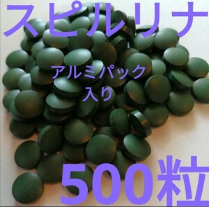 ●スピルリナ500粒　メダカ　エサ