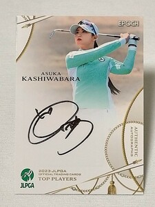 柏原明日架サインカード2023JLPGA女子ゴルフ