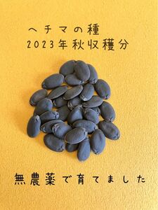 へちまの種　30粒　★同梱無料★