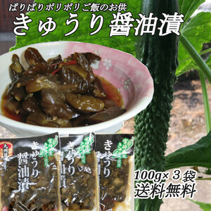 「きゅうり醤油漬」100g×3袋 ご飯のお供 宮崎県産きゅうり おにぎり おかず カレーライスの付合せ お茶うけに お酒の肴 送料無料