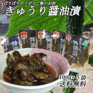 『きゅうり醤油漬』 100g×5袋 ご飯のお供 宮崎県産きゅうり おにぎり おかず カレーライスの付合せ お茶うけに お酒の肴 送料無料