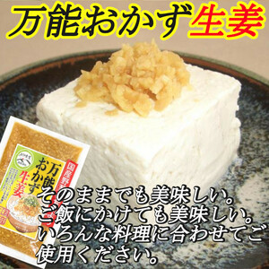 宮崎の漬物 万能おかず生姜 130g×1袋 パパっと混ぜて簡単便利 きざみ生姜の醤油漬 ご飯のお供 色んな料理の薬味 宮崎産生姜使用 送料無料