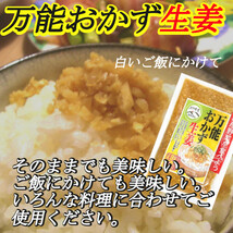 【万能おかず生姜】 130g×5袋 パパッと混ぜて簡単便利 きざみ生姜の醤油漬け ご飯のお供 色んな料理の薬味に 宮崎県産生姜使用 送料無料_画像3