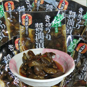 「きゅうり醤油漬 」100g×10袋 ご飯のお供 宮崎県産きゅうり おにぎり おかず カレーライスの付合せ お茶うけに お酒の肴 送料無料