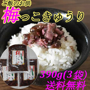 「梅っこきゅうり」 130g×3袋 南高梅 カリカリ梅 宮崎県産 きゅうり ご飯のお供に おにぎりの具材に お茶漬けに 食欲増進 送料無料