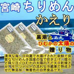 宮崎ちりめんかえり 100g×3袋 黒潮と日向の太陽の贈物 カルシウムの補給源 ちりめんじゃこ 山西水産 天日干し ご飯のお供 トッピング