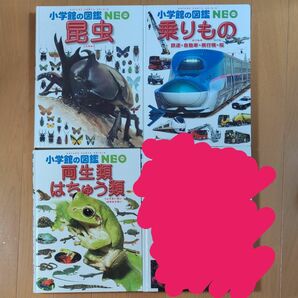 小学館の図鑑NEO 昆虫 乗りもの 両生類・はちゅう類