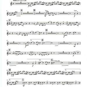 送料無料 吹奏楽楽譜 [Alexandros]：ワタリドリ 西條太貴編 試聴可 スコア・パート譜セットの画像7