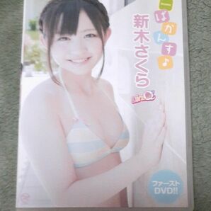 新木さくら ばかんす♪ 　DVD