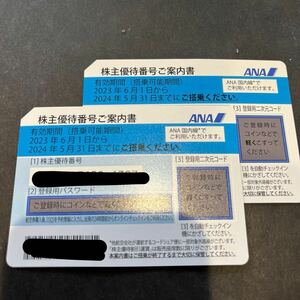 【即決】ANA 全日空 株主優待券 2枚セット　搭乗期限24年5月末まで　コード通知のみ