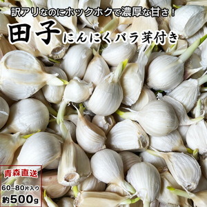 訳あり 田子にんにく（芽付き） ワケアリ ニンニク バラ 500g 青森産 国産 田子町 芽付き メール便