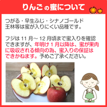 サンふじ りんご 訳あり リンゴ 林檎 2.5kg 青森産 葉とらず ふじ フジ 富士 冨士_画像7