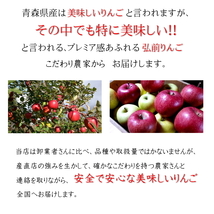 贈答用 りんご サンふじ リンゴ 林檎 3kg 青森産 葉とらず フジ 富士 冨士_画像7