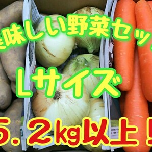 美味しい野菜セット！Lサイズ！5.２㎏以上！常備野菜！！