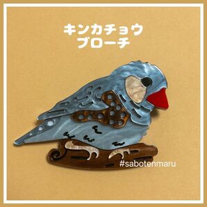 【匿名発送】キンカチョウのアクリルブローチ　鳥雑貨