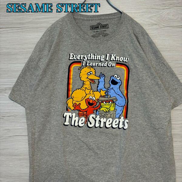 【入手困難】SESAME STREET セサミストリート　Tシャツ 2XLサイズ　ゆったり　キャラクター　一点物　レア　半袖　入手困難　アニメ　海外