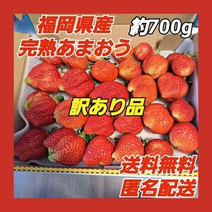 【訳あり品】福岡県産 完熟 あまおういちご 約700g ジャム 冷凍 加工等に