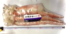 特大【7L】タラバ蟹　^_^/生食用ボイルタラバカニ　シュリンクパック　7Lサイズ　1.5kg_画像6