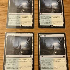 MTG 草茂る農地/Overgrown Farmland 日本語4枚の画像1