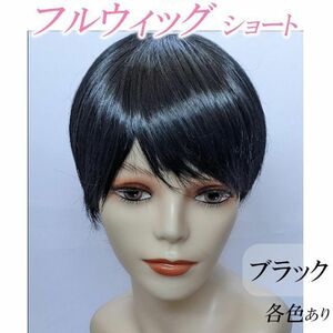 フルウィッグ ショート ブラック 黒 エクステ つむじ有り 人工頭皮 ネット付 コスプレ 薄毛 白髪隠し 脱毛症 新品 男装にも 人気