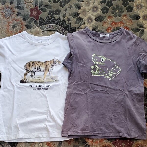 KIDS Tシャツ 2枚セット 140 150