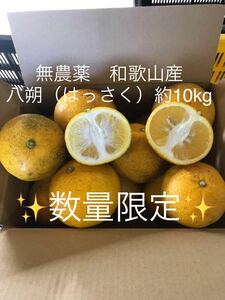 【訳あり品　無農薬　和歌山産　八朔　 （はっさく）10kg 農家直送便】