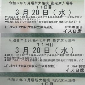 大相撲春場所★11日目★3/20(水・祝)★イスB席向3枚連番セット