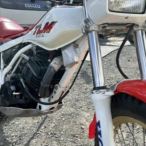 ホンダ HONDA TLM200R クラシック ビンテージ トライアル 山菜採り 山遊び 中古 書付き 実働 引取り限定の画像5