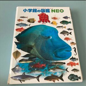 【小学館の図鑑NEO 魚】 魚の資料　魚の生態　写真や絵でわかりやすく解説　ページ数も多く見応えのある一冊