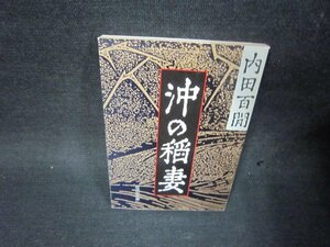 沖の稲妻　内田百閒　旺文社文庫　日焼け強シミ有/SBW