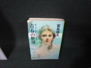 青春の野望　第二部　富島健夫　集英社文庫　折れ目有/TAZE