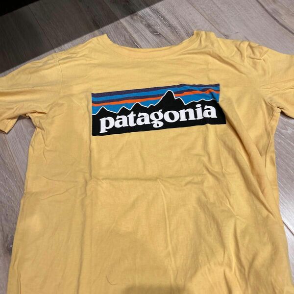 パタゴニア　Tシャツ　サイズ子供用Ｌ　からし色
