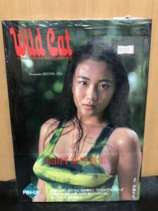 (D884)松田千奈写真集 Wild Cat 撮影 伊藤隼也 セクシーショット