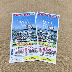  Osaka Mai . nemophila festival discount ticket 2 pieces set 