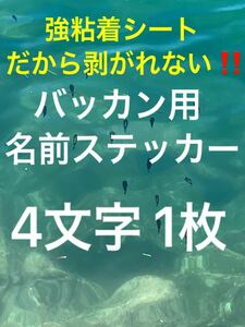 バッカン用名前ステッカー 4文字様 1枚 シマノ マルキュー ダイワ がまかつ 釣研などに