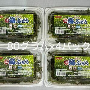 海ぶどう　久米島産　海洋深層水育ち　80グラム×4パック