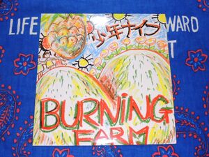 少年ナイフ「Burning Farm」邦オリジナル8インチ1stアルバム SHONEN KNIFE◆zero records 0-0783