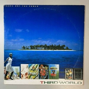 42249★美盤【日本盤】 Third World / You've Got The Power