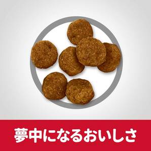 サイエンスダイエット ドッグフード 成犬 小粒 1~6歳まで チキン 3.3kg お試し ドライ トライアルの画像4