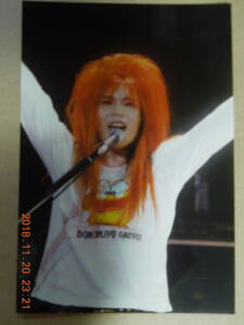 HIDE 写真 ブロマイド 195 / X JAPAN