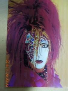 HIDE 写真 ブロマイド 203 / X JAPAN