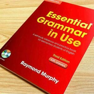 Essential Grammar in Use Third Edition