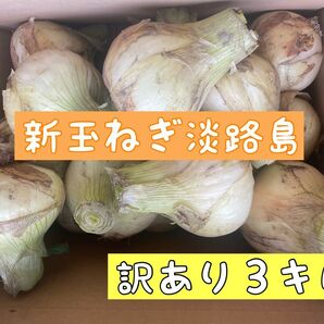 新玉ねぎ淡路島　訳あり３キロ