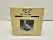 足関節機能模型 FUNCTION MODEL OF THE FOOT ディスプレイ 大正富山医薬品株式会社_画像2