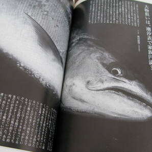 フライの雑誌  № 68  本流に鱒を追う自分の鱒は自分で探せ  秋田県サクラマス解禁に向かうフライマンに！  の画像9