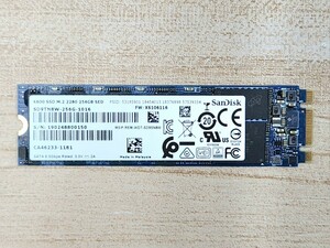 【送料無料】SanDisk M.2 SSD 256GB SD9TN8W-256G-1016 SATA 中古 動作確認済 健康状態:正常 M.2_256GB_6