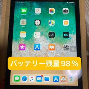 Apple iPad Air 9.7インチ 第一世代 Wi-Fiモデル　32GB バッテリー残量98% ジャンク