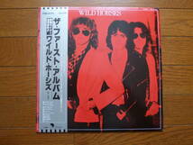 LP ワイルド・ホーシズ　ファースト・アルバム　WILD HORSES_画像1