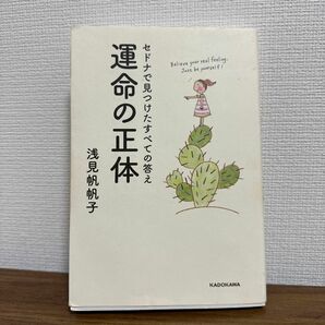 セドナで見つけたすべての答え 運命の正体　