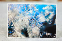 ☆ポストカード集 『雪の結晶』 10枚組 北海道で撮影した雪の結晶の写真のポストカード from 丘のうえの小さな写真館!!_画像5